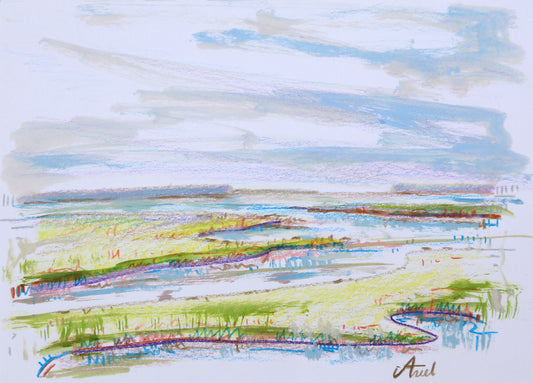 Marsh Study